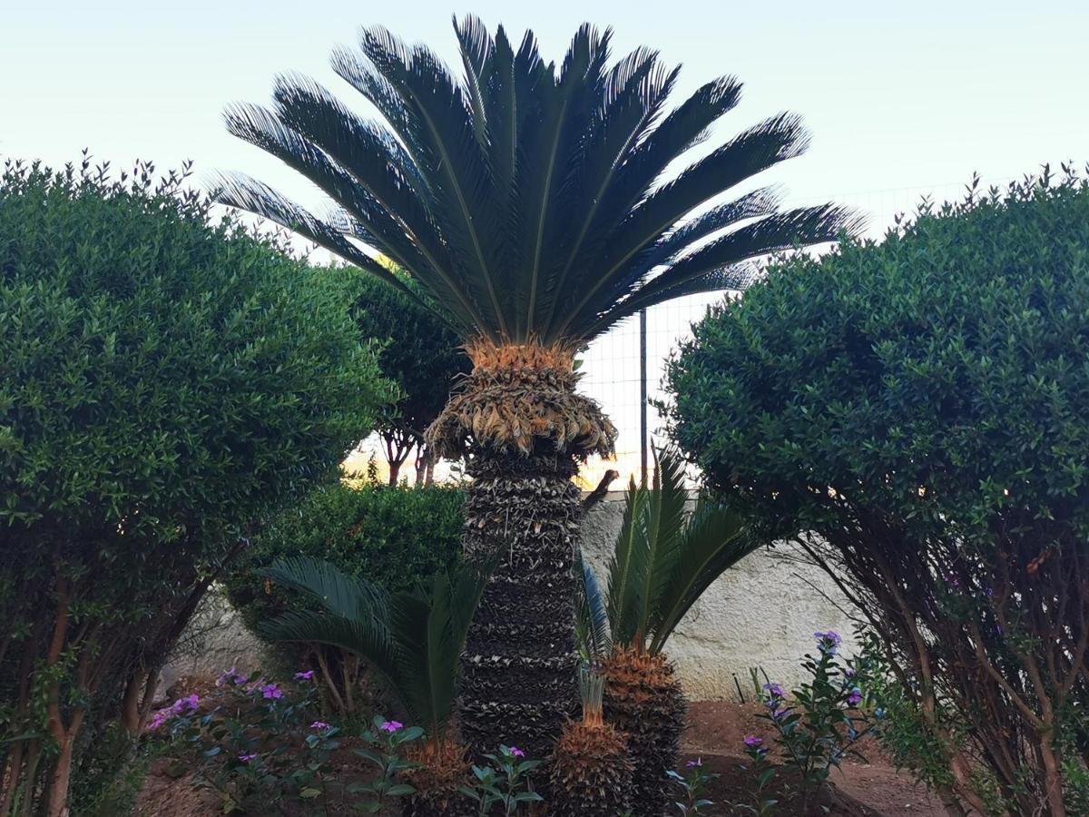 הוילה דונלוקאטה Palorosso House מראה חיצוני תמונה